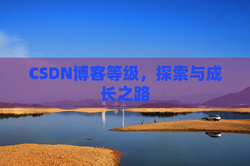 CSDN博客等级，探索与成长之路